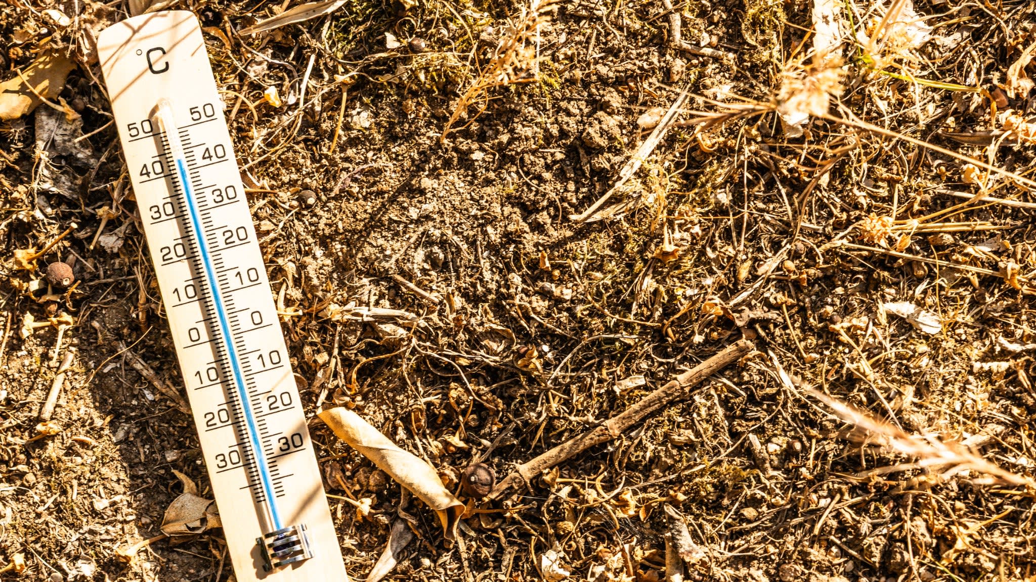 Canicule : sept départements du Sud placés en vigilance orange par Météo-France
