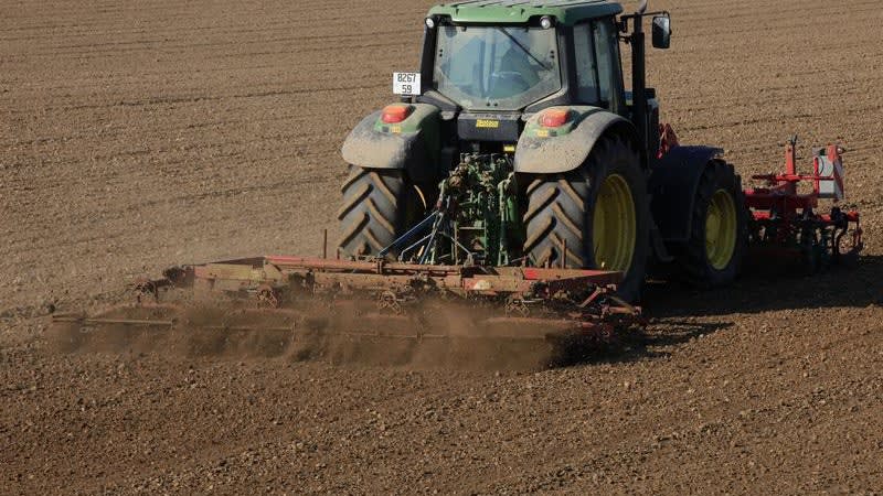 PAC : la Cour des comptes fustige la répartition des aides agricoles en France