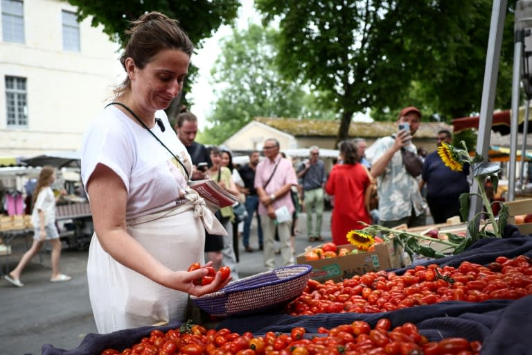 Présidentielle : Marine Tondelier mène campagne en affichant sa grossesse