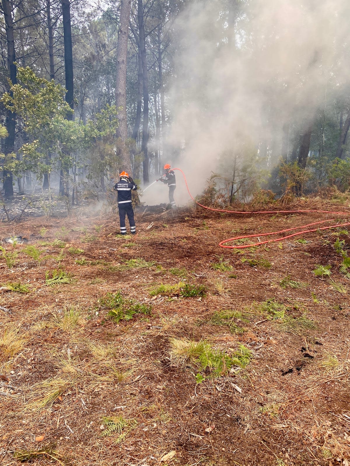 Les Marins-Pompiers de Marseille luttent contre l'incendie de Biscarrosse en juillet 2026 dans les Landes