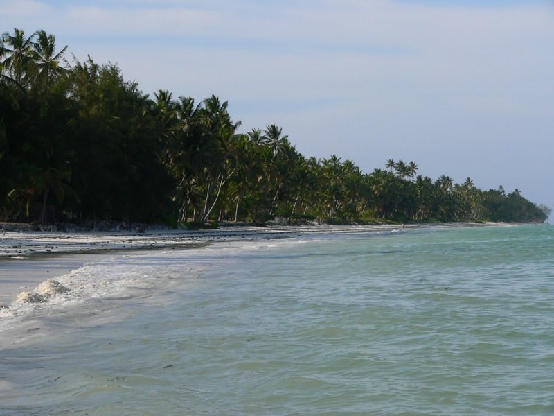 Zanzibar, l’île africaine où l’hiver rime avec bronzage (on a les meilleures adresses)