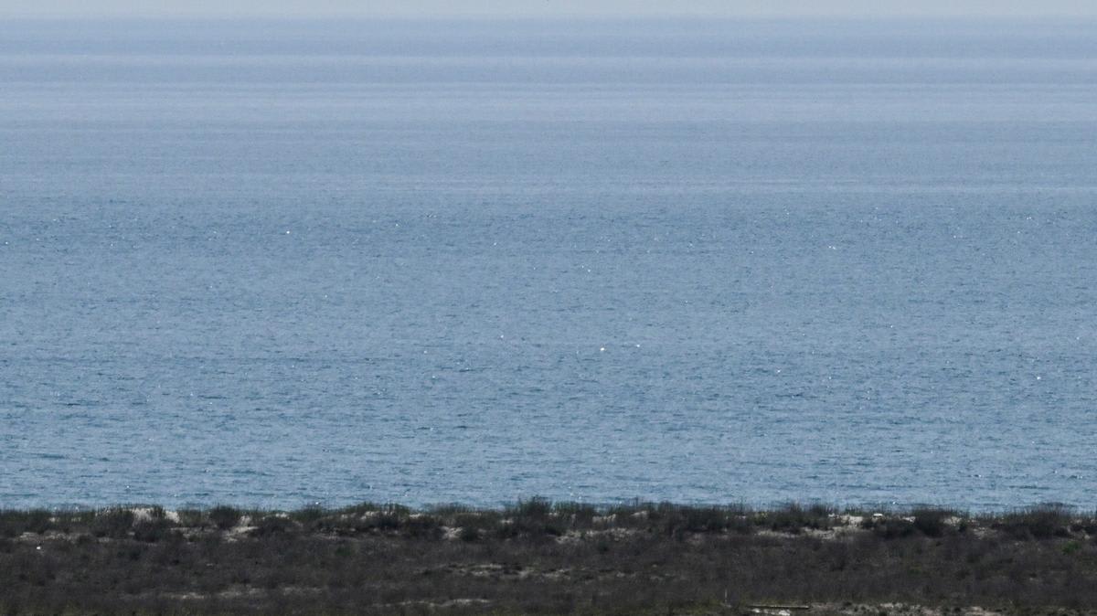 Mer Noire : un drone naval ukrainien coule un engin russe lors d'un duel inédit