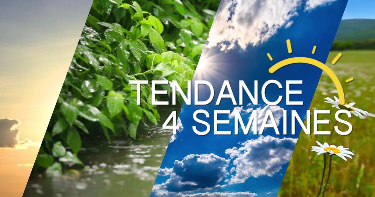 Météo : une douceur persistante et un automne exceptionnellement sec sur la France
