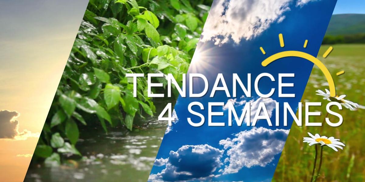 Météo : une douceur persistante et un automne exceptionnellement sec sur la France