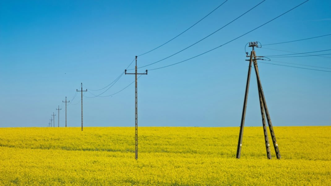 Agriculture française : les enjeux et les risques de l'intégration de l'Ukraine dans l'UE