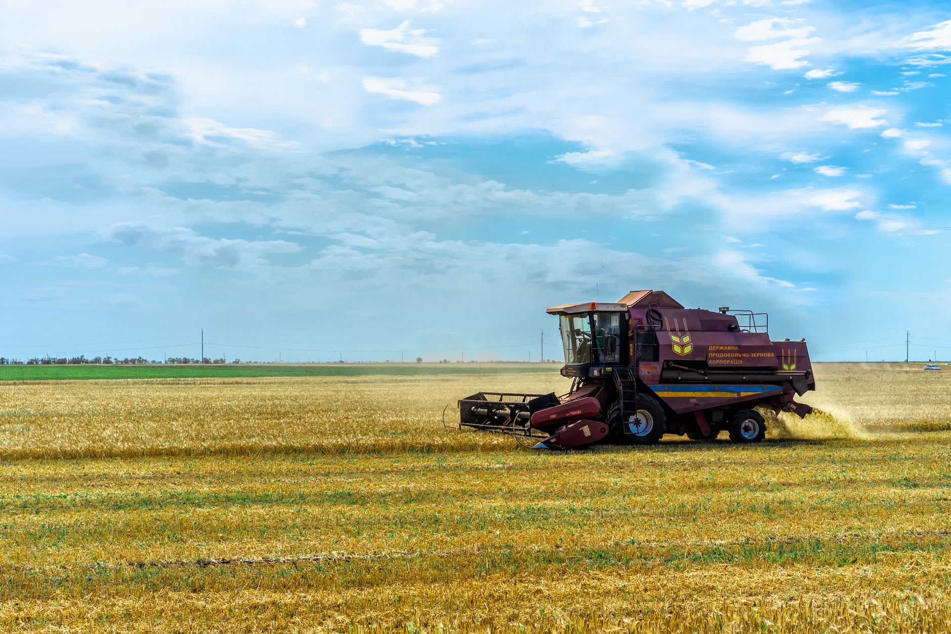 Agriculture française : les enjeux et les risques de l'intégration de l'Ukraine dans l'UE
