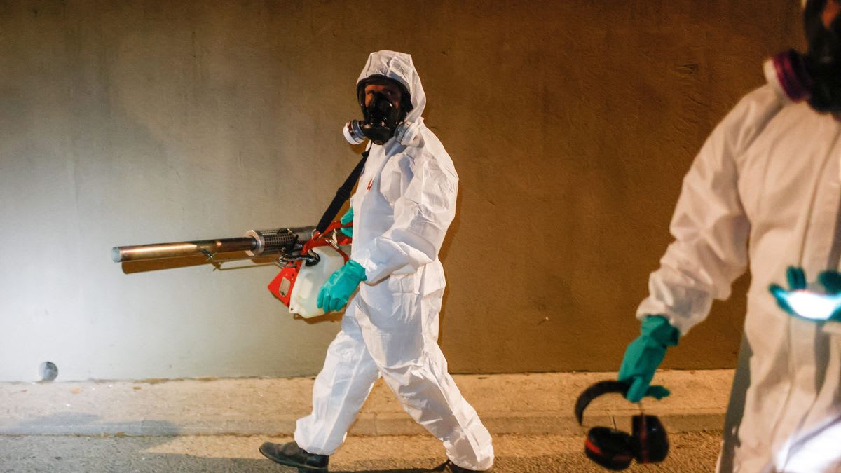 Dengue à Orvault : une opération de démoustication nocturne face au risque épidémique