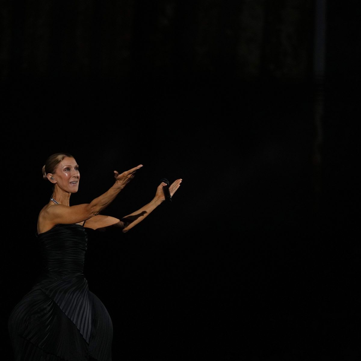 Fiscalité du spectacle : l'État s'accapare les taxes des concerts de Céline Dion