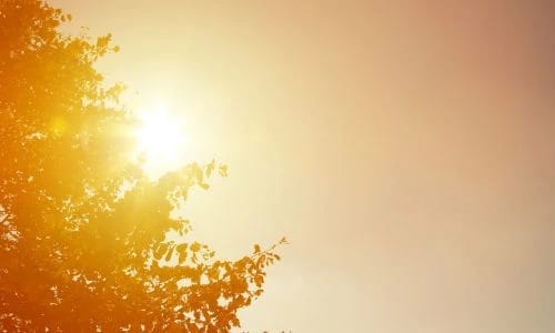 Canicules de l'été 2026 : un bilan sanitaire lourd et des séquelles durables