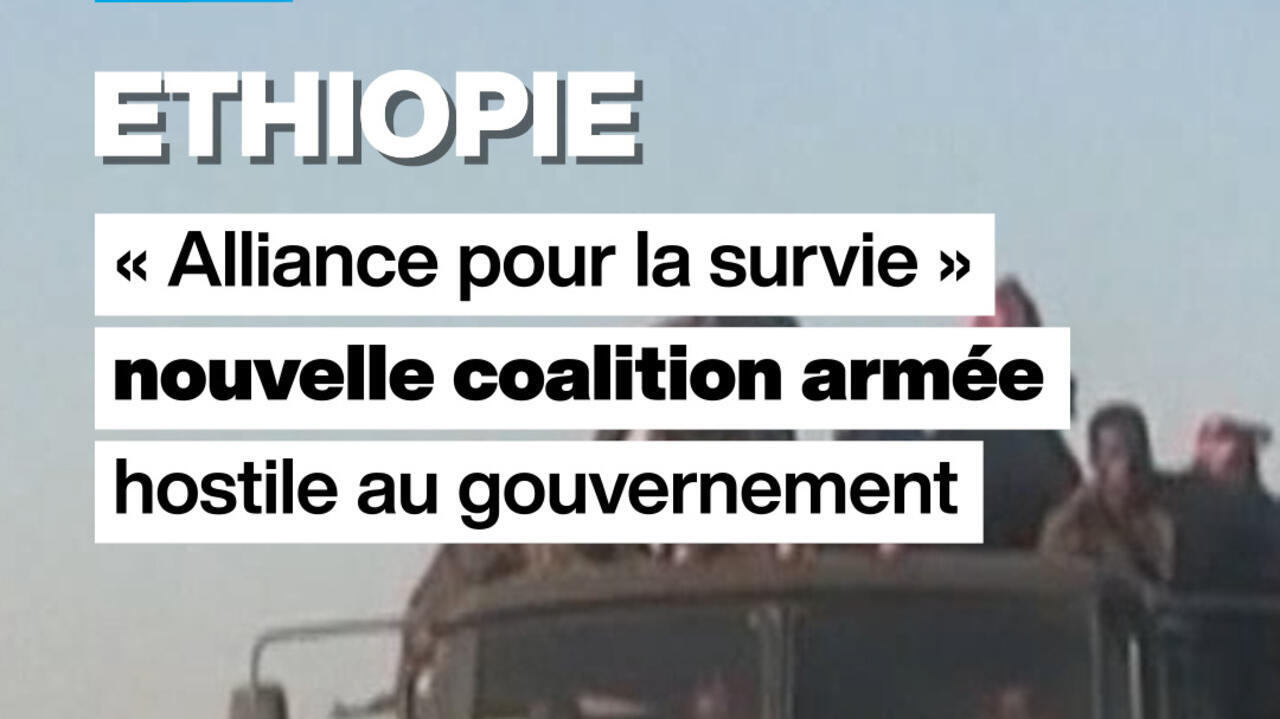 Éthiopie : sept groupes armés forment une coalition contre le gouvernement