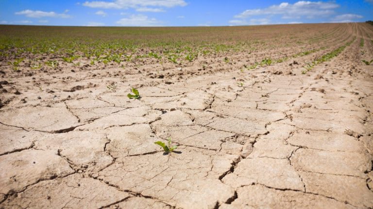 Environnement : plus de 250 marches citoyennes organisées ce samedi en France