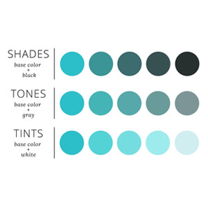 Tint, Tone and Shade of a Colour Tint, Tone and Shade of a Colour