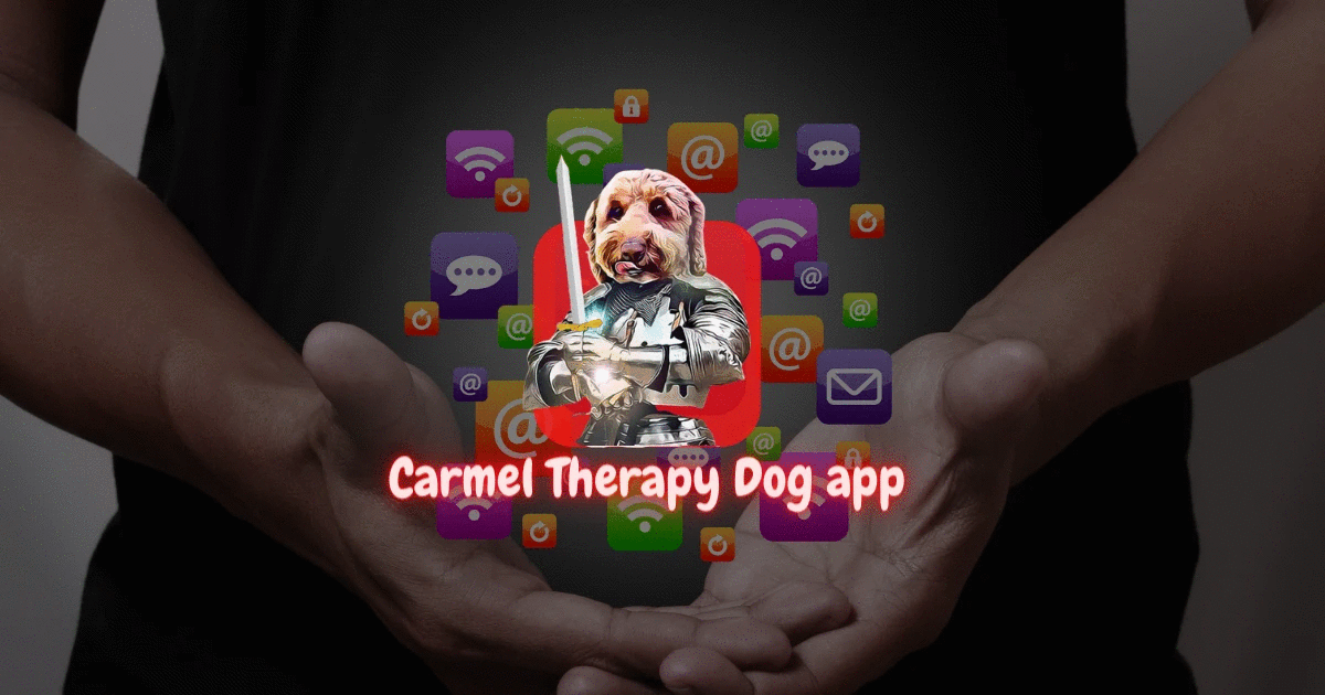 Carmel's App Beta