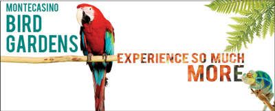 https://www.montecasino.co.za/entertainment/bird-gardens/?utm_source=google&utm_medium=business_listing&utm_campaign=google_business_listing_montecasino_tsg_ent_bird-gardens&utm_content=ent_bird-gardens