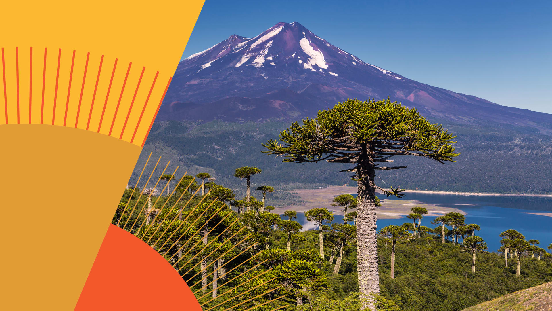 Landscape-Region-Araucania - Wild Impact UK