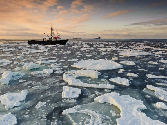 Your Box of Seafood Is an Expression of Your Stewardship of the Seas