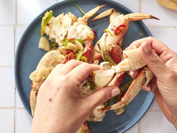 Dungeness Crab