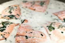 wild caught salmon poached in cream sauce