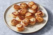 pan fried weathervane scallops in a skillet