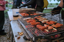 salmon skewers with tamari caramel