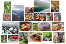 tutka bay collage