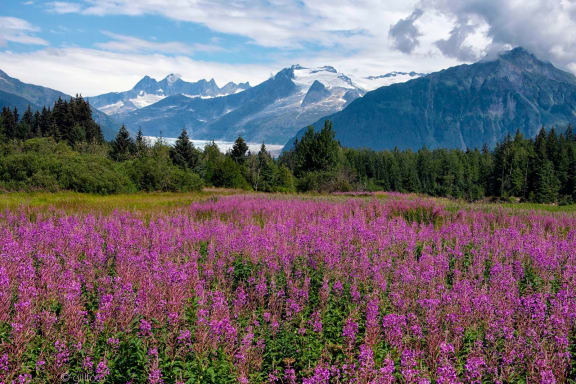 Alaska’s Natural Cycles are Nothing Short of Magic