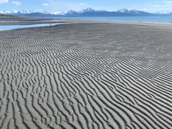 the beach homer alaska