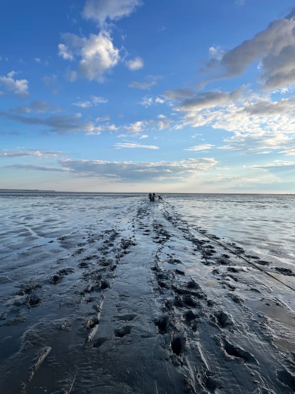 mud tide bristol bay