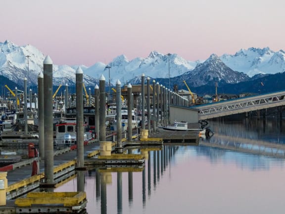 Homer harbor