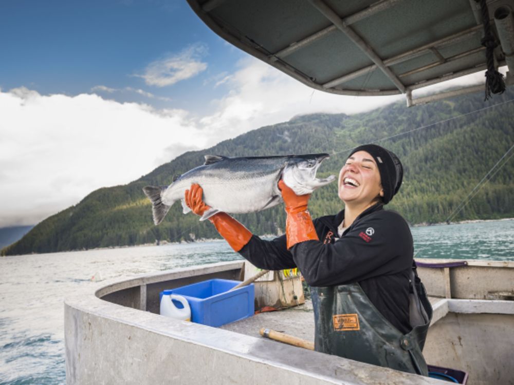 The Sustainability Impact of Wild Salmon vs. Farmed Salmon Wild Alaskan Company