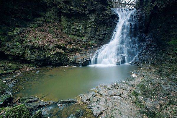 Hareshaw Linn Walk North East.jpg