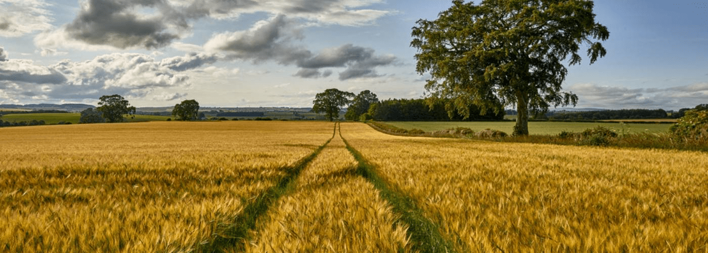 Livingston Scotland