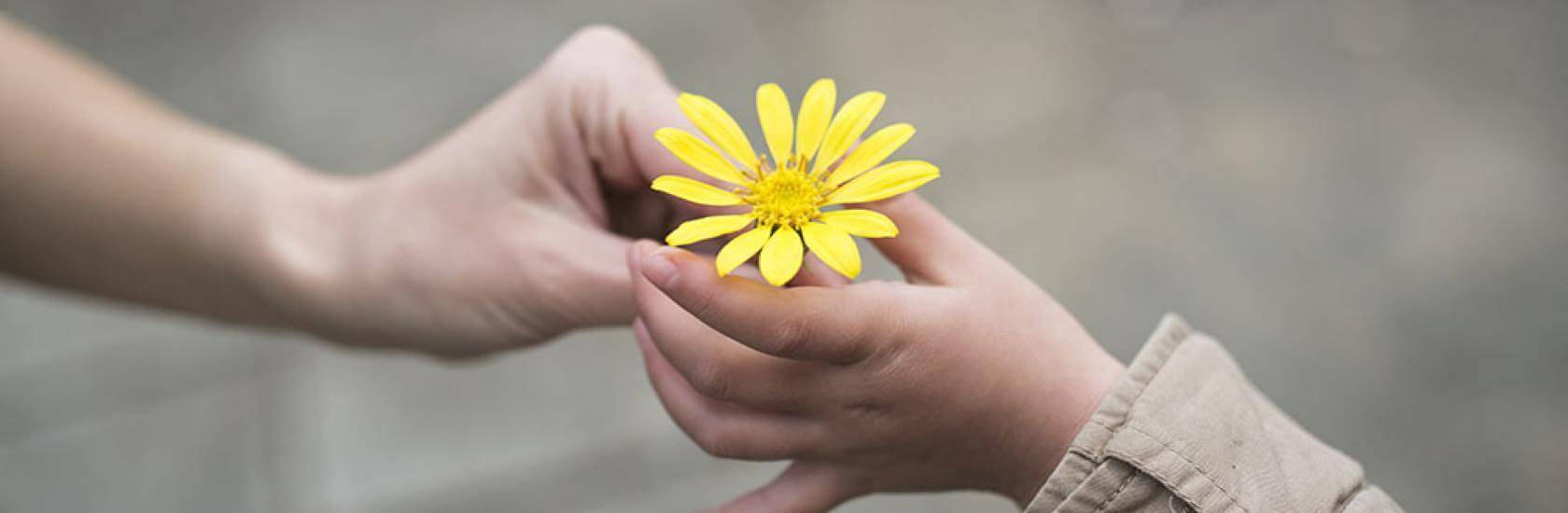 kindness-min.jpg