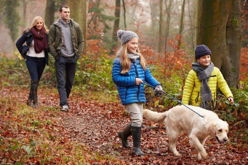 Forest Walks - Coastal Kippford