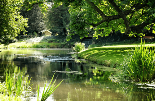 Blog image (35).png
