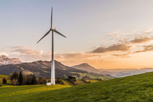 Sustainable holiday