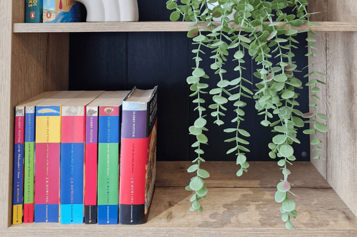 Harry potter books on shelf in new holland lodge