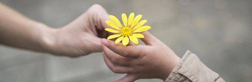 kindness-min.jpg