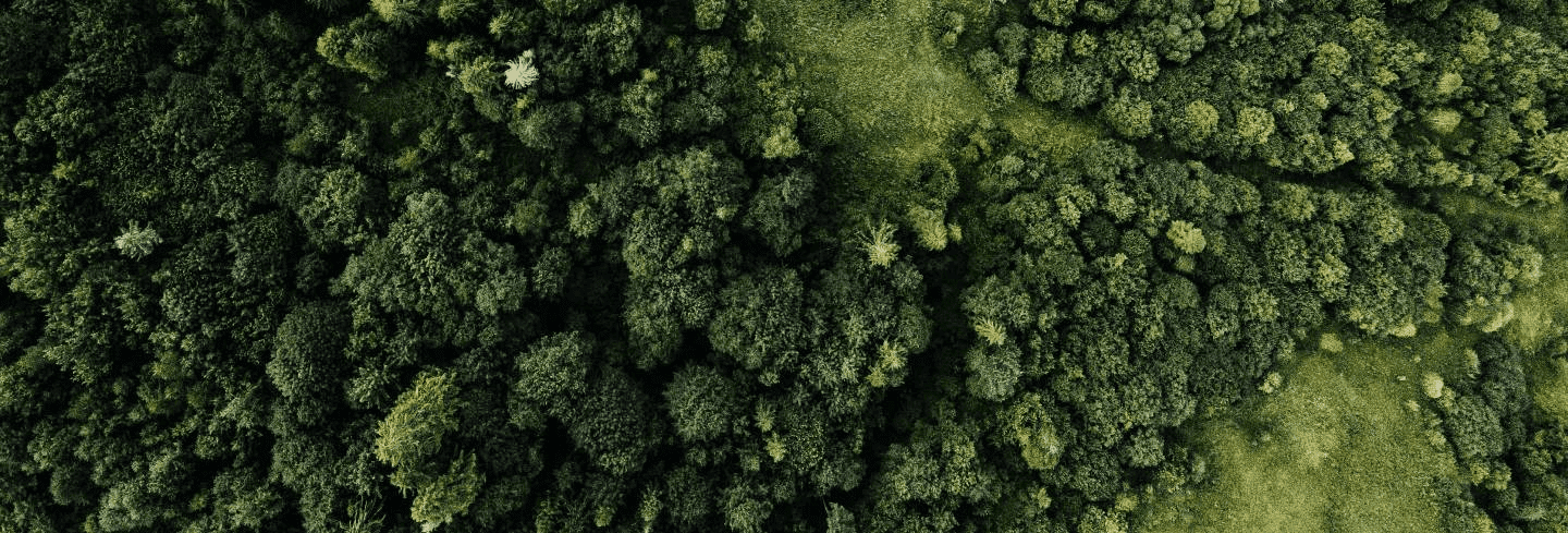 sustainability_HeaderImage (1).png