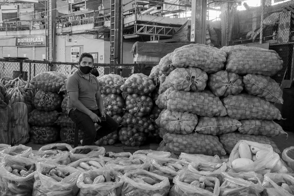FERNANDO_ROA_3_DIAS_EN_EL_PUESTO_Y_AÑO_Y_MEDIO_TRANSPORTANDO_PRODUCTOS_1_p6zdwo