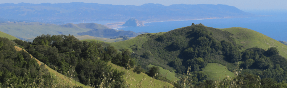 Williams Bros. Properties Serves Beautiful San Luis Obispo County