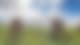 Gold Coast X Melbourne With Tripfez Gold Coast X Melbourne With Tripfez