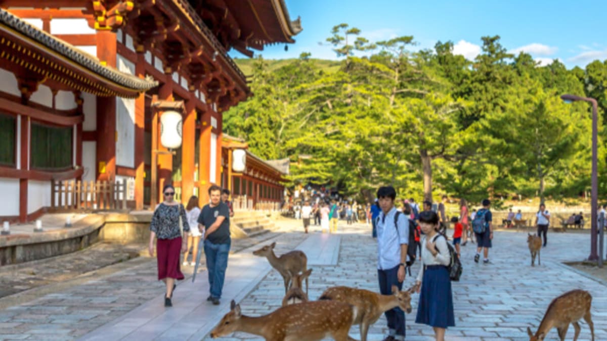 Nara Tour Packages & Holidays With Tripfez