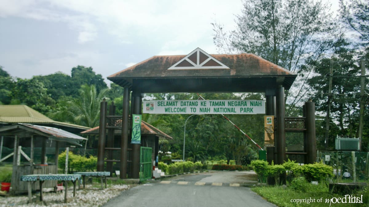 Lawatan bandar Miri + Niah + Bukit Lambir Bersama Tripfez