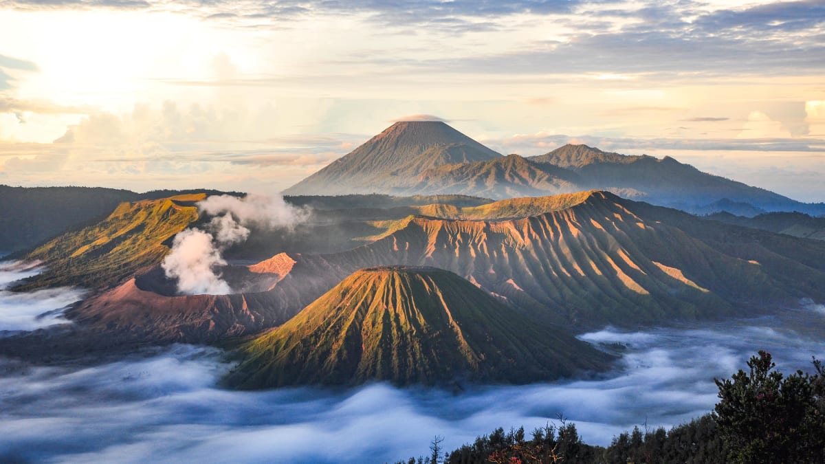 Surabaya Bromo With Tripfez