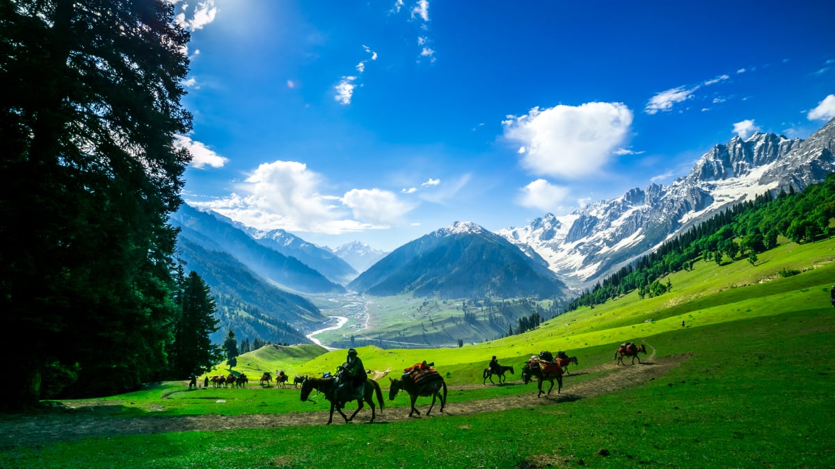 kashmir tour packages from hyderabad