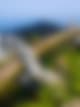 Da Nang X Hue X Hoi An X & Sun World Tour (Buy 3 Free 1) With Tripfez Da Nang X Hue X Hoi An X & Sun World Tour (Buy 3 Free 1) With Tripfez