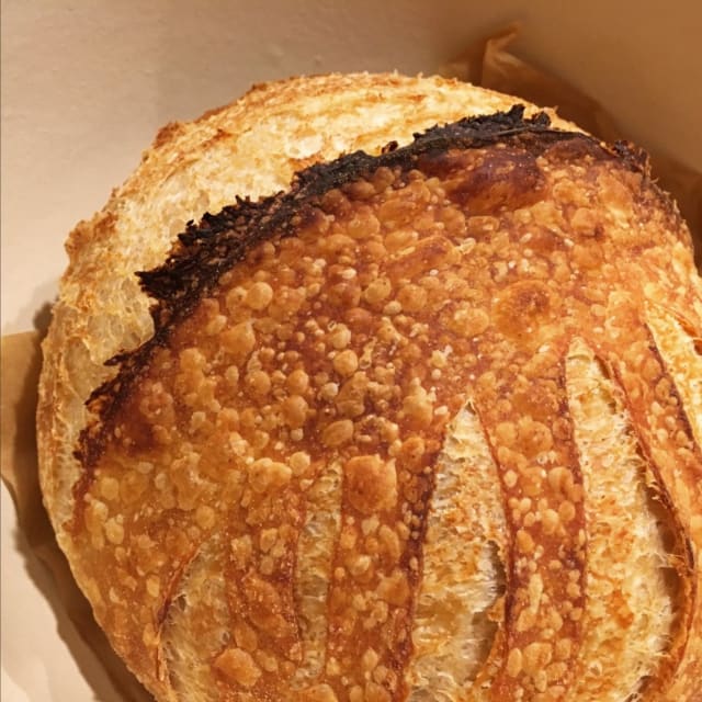 A sourdough boule with a blistered, golden crust and a fringe of lacy char above the slash.