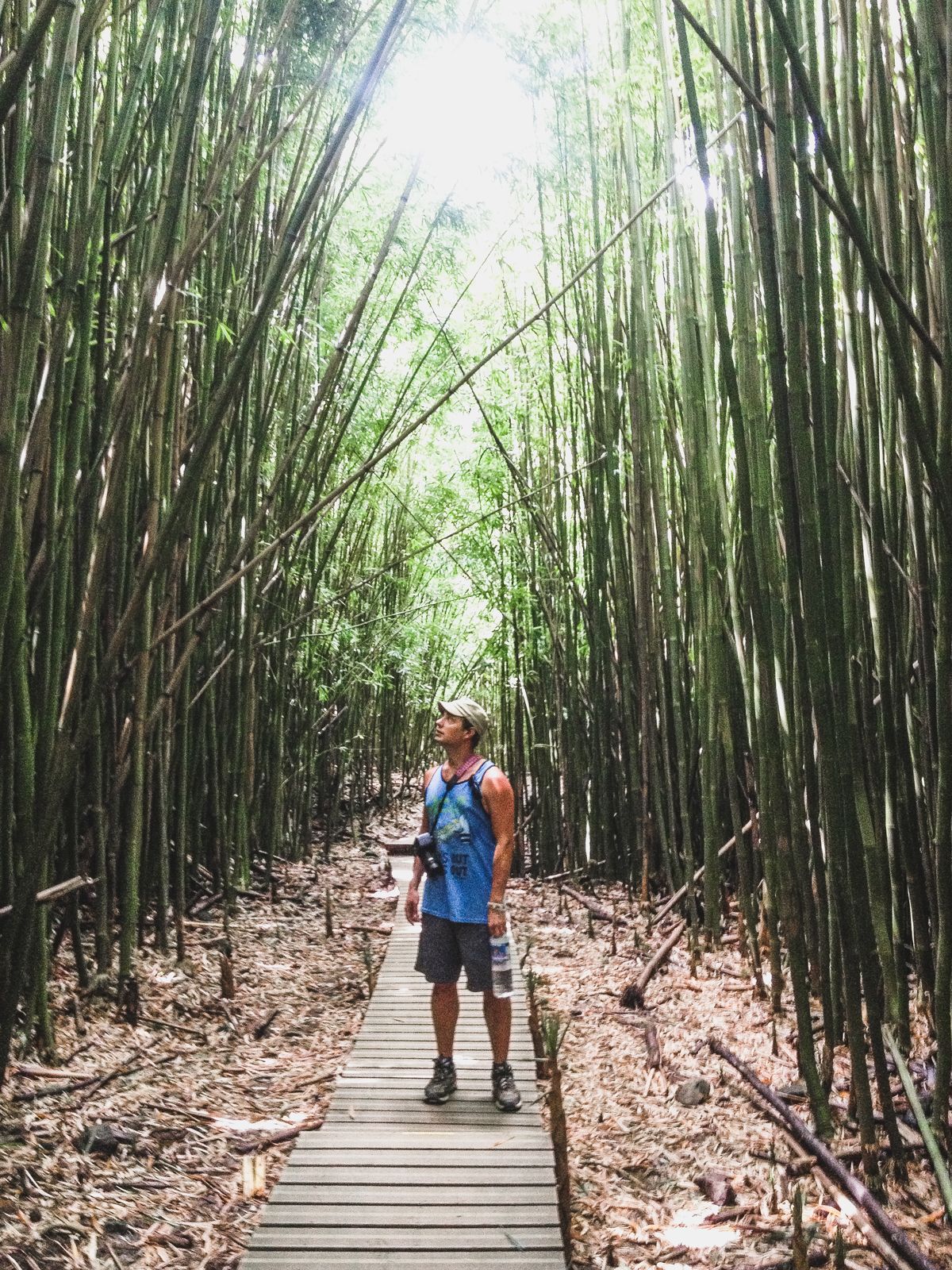 Conquering The Road to Hana