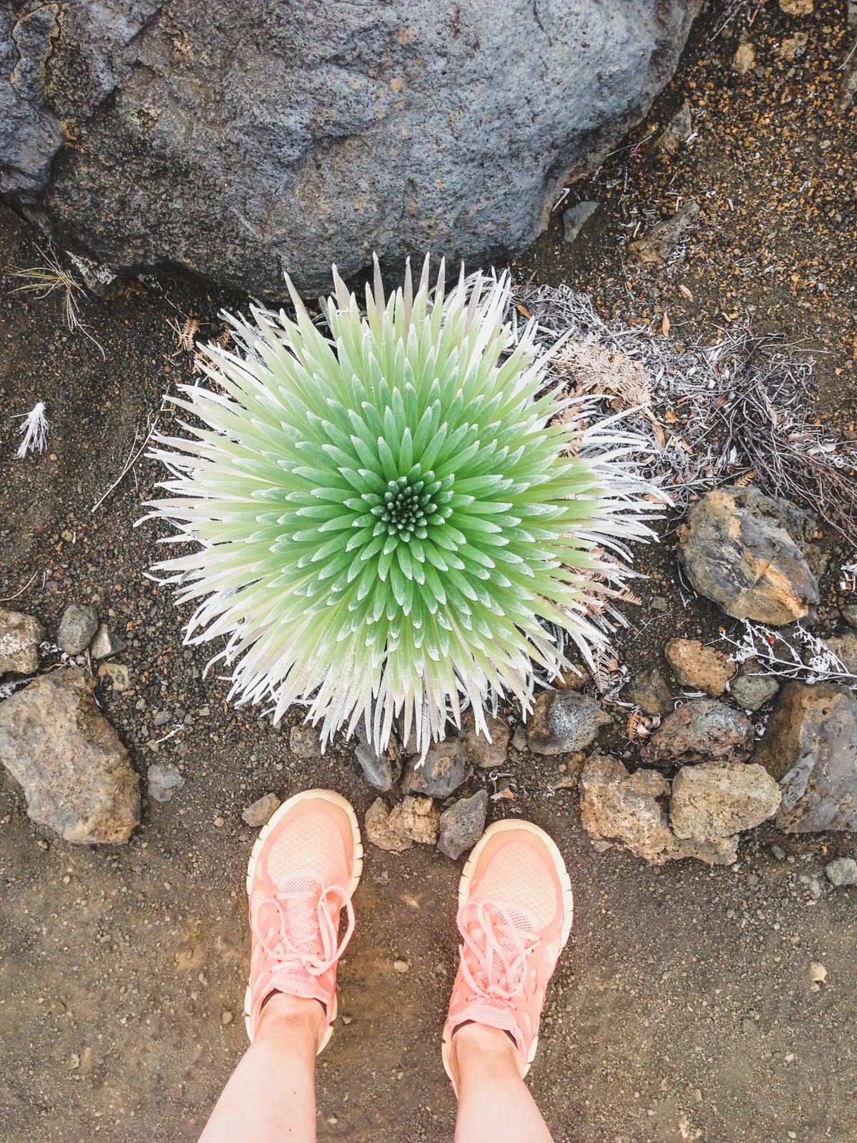 Hiking in Haleakala Crater
